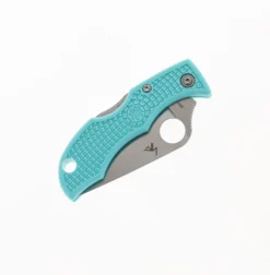 Spyderco Ladybug Folding Knife Teal FRN Handle S30V Clip Point Plain Edge LTLP3 -Knife Gear Shop SPYDERCO LTLP3 04 87484.1689355787